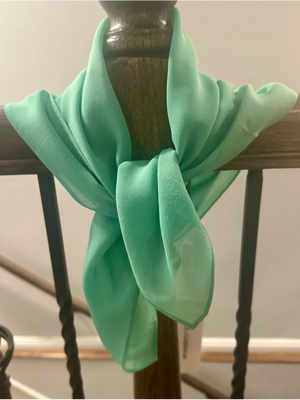 NWT Dolce & Gabbana Green Silk Scarf